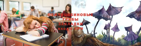 a pvp Богданович
