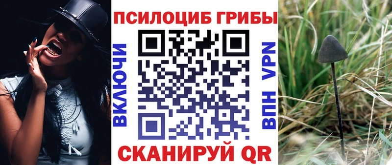 цена наркотик  Билибино  Псилоцибиновые грибы MAGIC MUSHROOMS 
